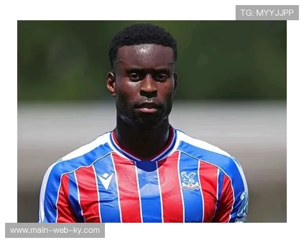 曼城新援格伊首秀表现亮眼 五次解围三次封堵稳固防线