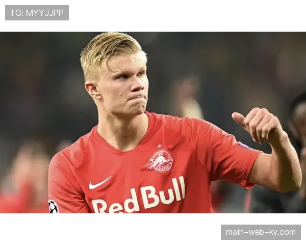 武汉三镇卡迪斯贝维斯领衔锋线，菲尔米诺亚姆卡姆加盟